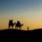 silhouette of people riding camels