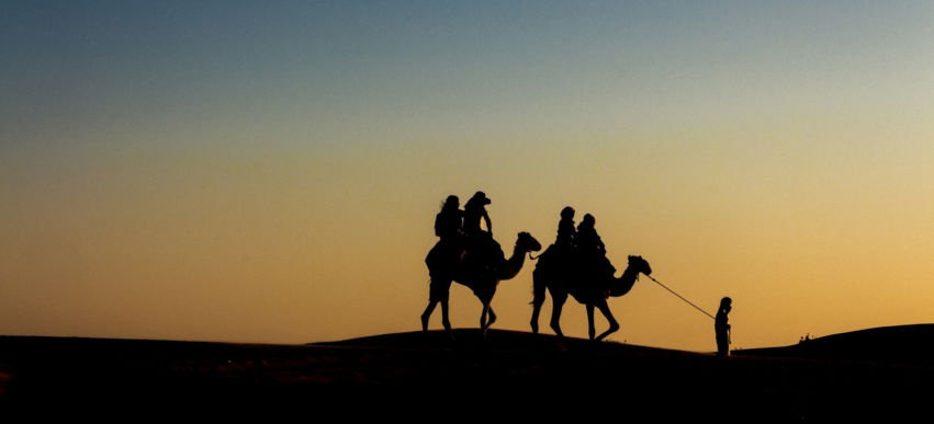 silhouette of people riding camels